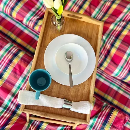 Flower House 8 صوفيا